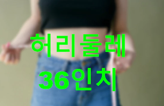 허리둘레