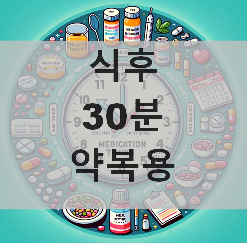 식후 30분