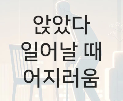 앉았다 일어날 때 어지러움