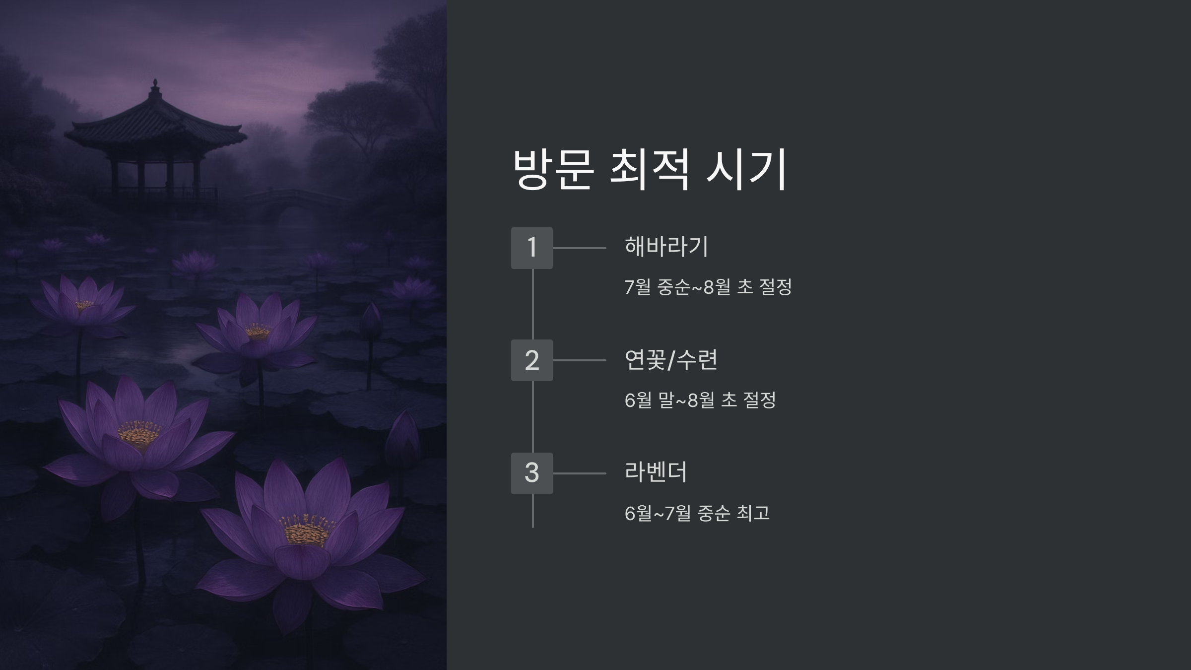 방문-최적-시기