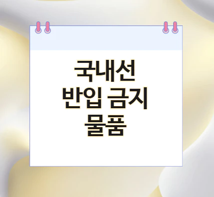 국내선-반입-금지