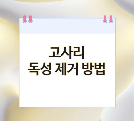 고사리-독성-제거