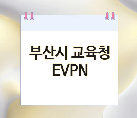 부산시-교육청-evpn