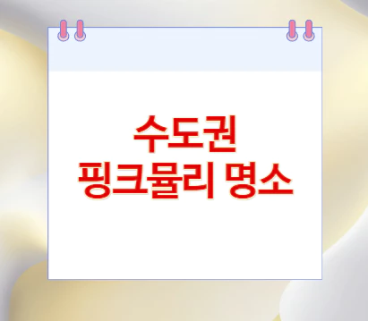 수도권-핑크뮬리