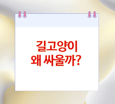 길고양이-싸우는-소리