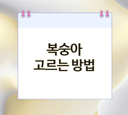 복숭아-고르는-방법