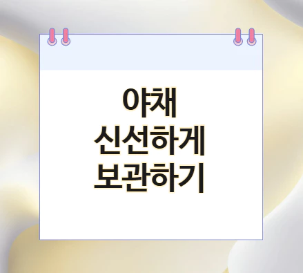 야채-신선하게-보관