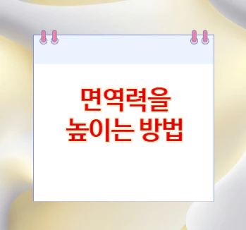 면역력을-높이는-방법