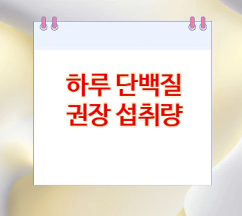 하루-단백질-권장-섭취량