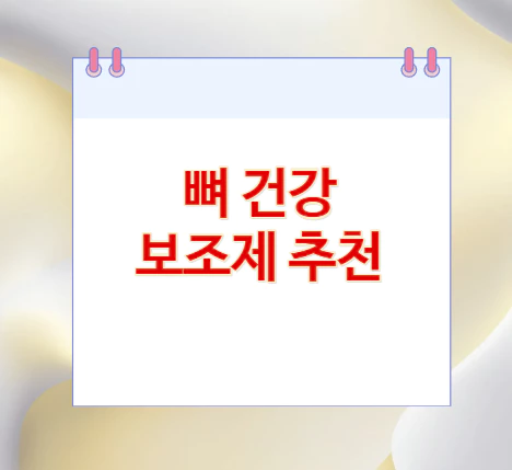 뼈-건강-보조제-추천