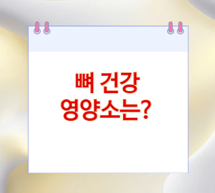 뼈-건강-영양소