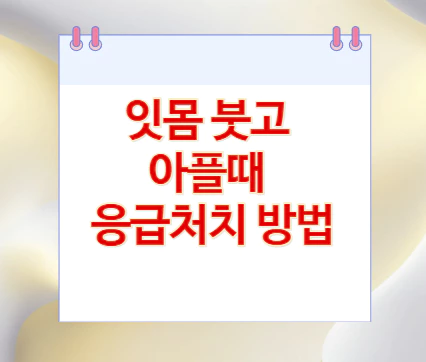 잇몸-붓고-아플때