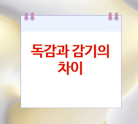 독감과-감기의-차이