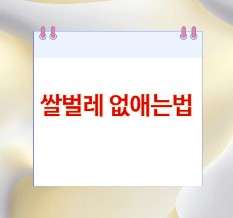 쌀벌레-없애는법