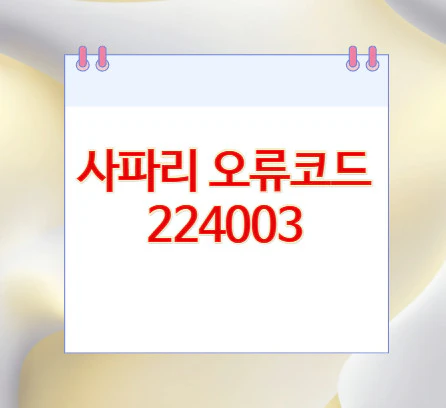 사파리-오류코드-224003