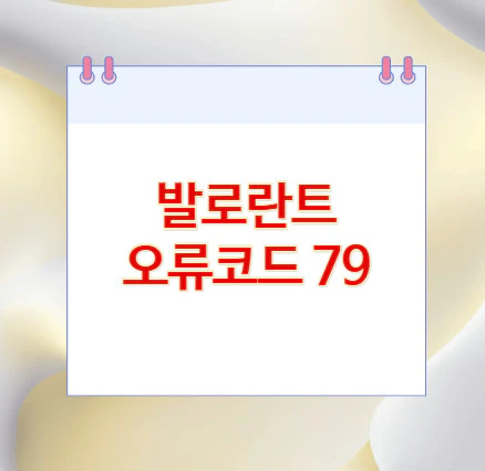 발로란트-오류코드-79
