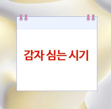 감자-심는-시기