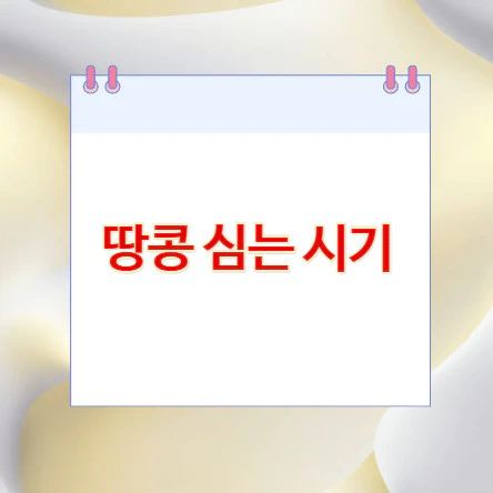 땅콩-심는-시기