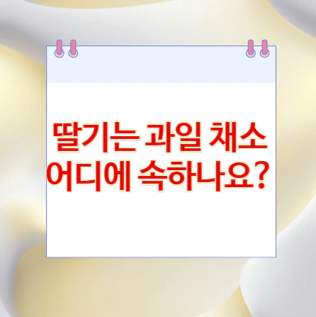 딸기-과일-채소