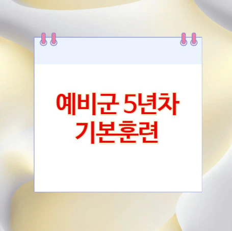 예비군-5년차