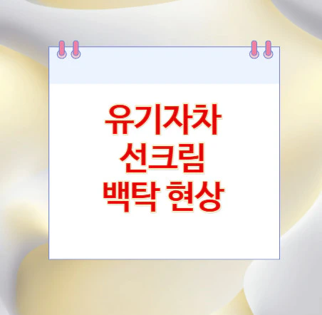 유기자차-선크림