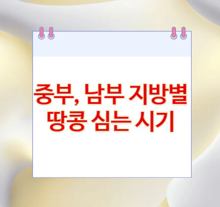 지방-땅콩-심는-시기