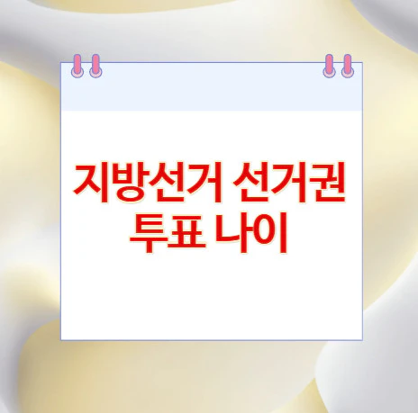 지방선거-선거권