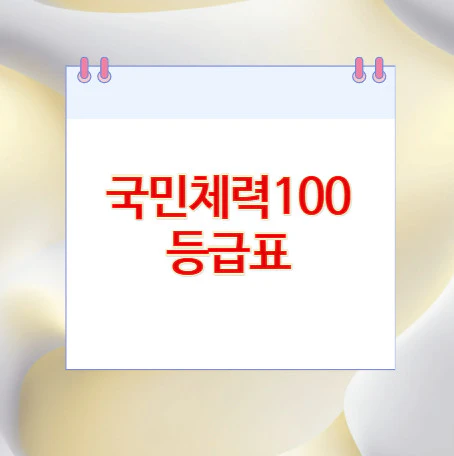 국민체력100-등급표