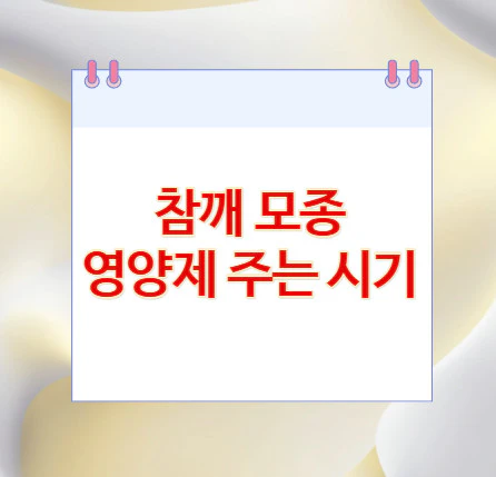 참깨-모종-영양제