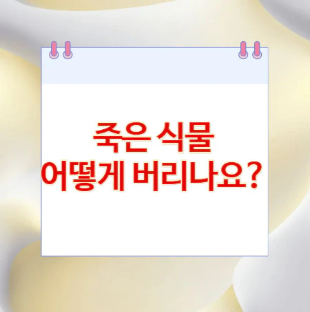 죽은-식물