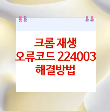 크롬-오류코드-224003