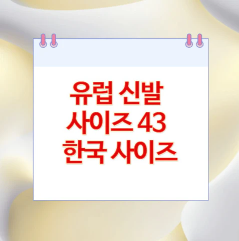 유럽-신발-사이즈-43